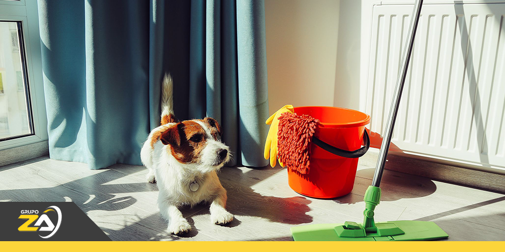 higienização de ambientes para a circulação de crianças e pets