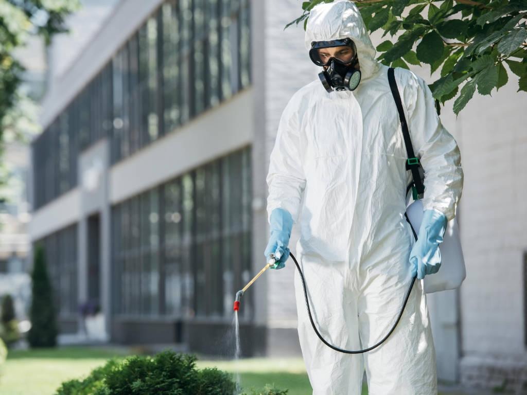 O que é Manejo Integrado de Pragas (MIP)