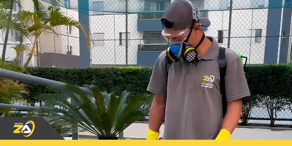 Serviços integrados: Grupo Z.A faz tudo em um só lugar!