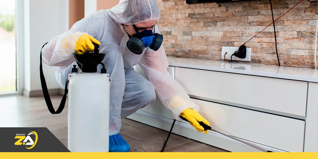 Entenda os tipos de dedetização