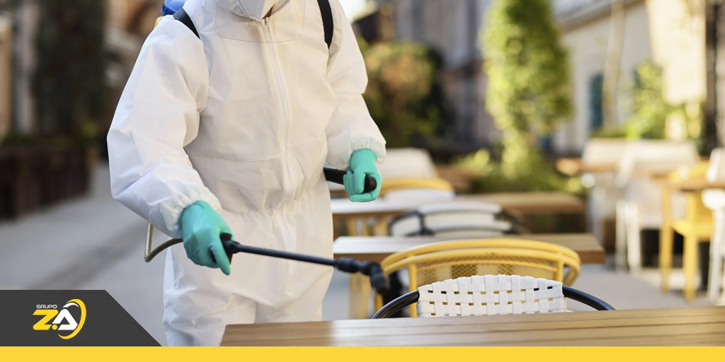 Como o verão aumenta a infestação de pragas urbanas