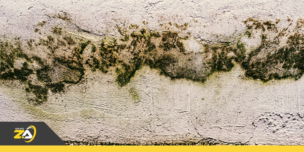 Chuvas de verão deixaram danos ocultos? Veja como identificar infiltrações e entupimentos