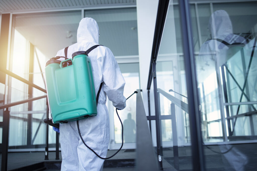 A dedetização preventiva sai mais barata do que lidar com uma infestação. Já colocou isso na ponta do lápis?