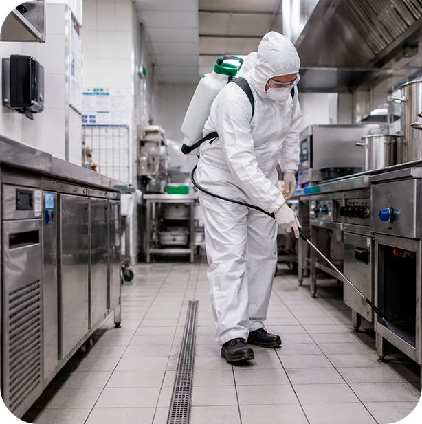 Dedetização em Cozinhas Industriais