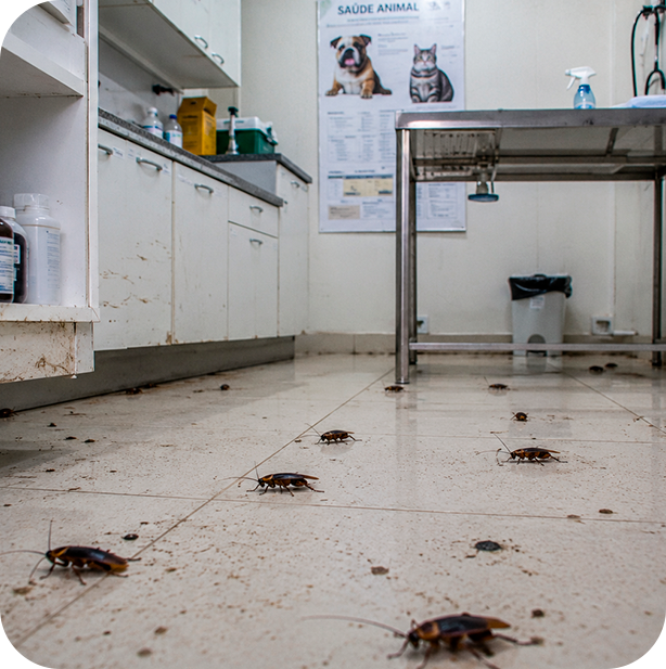 Dedetizadora em SP especializada em Clínica Veterinária