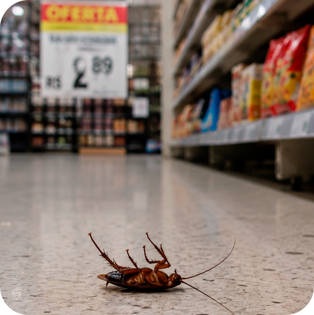 Dedetizadora em SP especializada em Supermercado